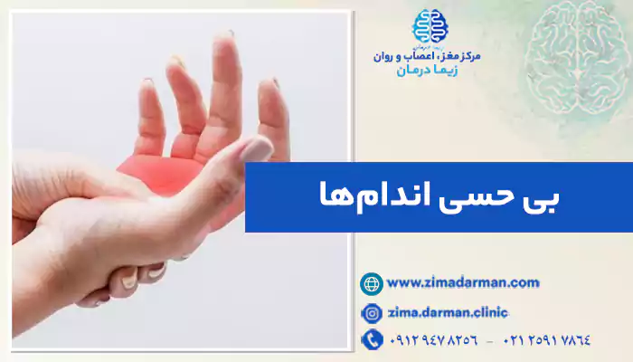 انواع درمان بی حسی بدن | علائم و نشانه های کرختی بدن چیست؟