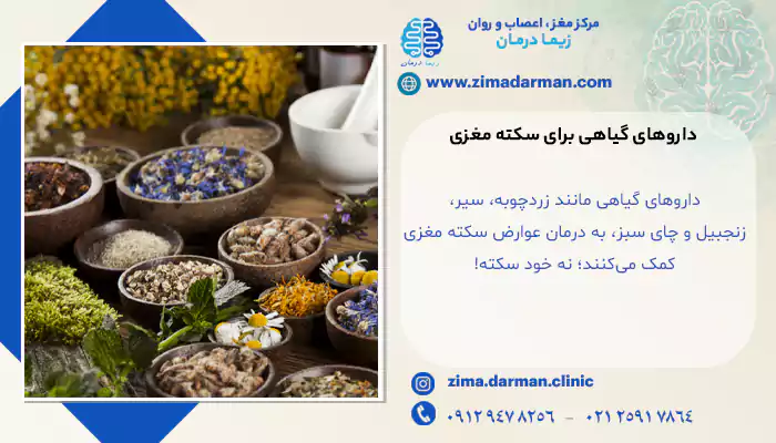 داروهای گیایی که روی درمان سکته تاثیر دارند