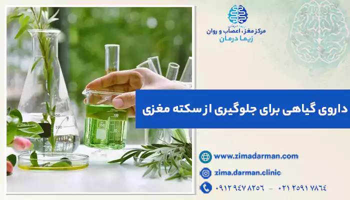 7 داروی گیاهی برای جلوگیری سکته مغزی | گیاه باز کننده عروق