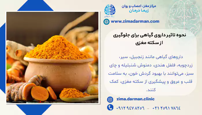 نحوه تاثیر داروی گیاهی برای جلوگیری از سکته مغزی