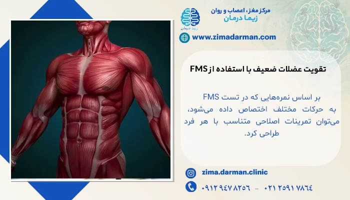 عملکرد دستگاه FMS در توانبخشی عصبی و عضلانی | غربالگری عملکرد حرکتی با اف ام اس
