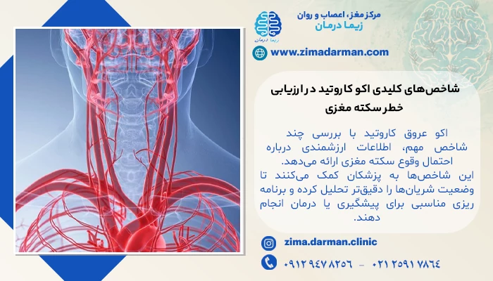 شاخصهای کلیدی اکو کاروتید در ارزیابی خطر سکته مغزی
