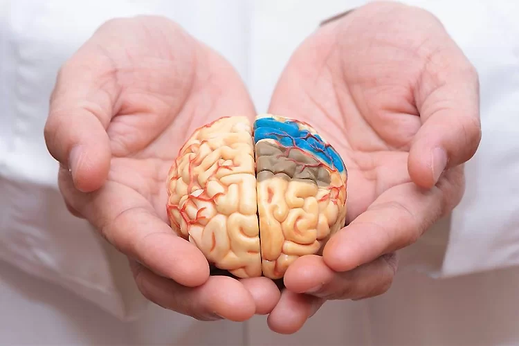 عوارض سکته مغزی سمت راست مغز و فلج شدن سمت چپ بدن + علائم و مشکلات