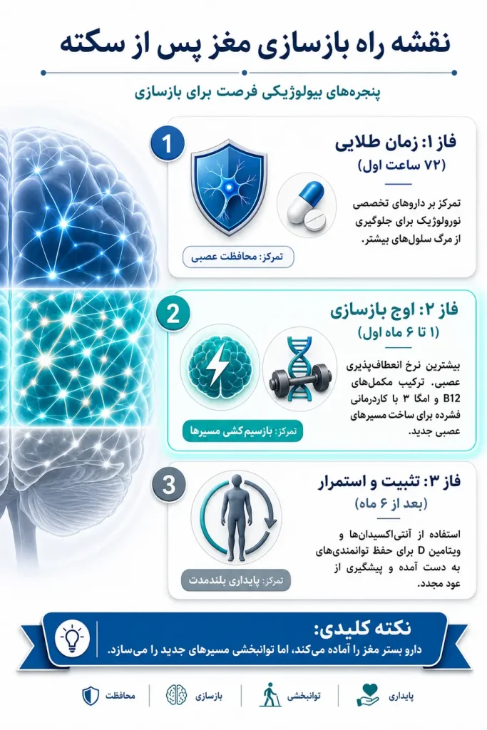 اینفوگرافیک بهترین داروی تقویتی برای سکته مغزی؛ داروهای کمککننده به بهبودی بعد از استروک