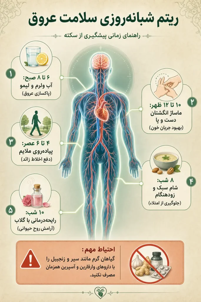 اینفوگرافیک پیشگیری از سکته مغزی در طب سنتی